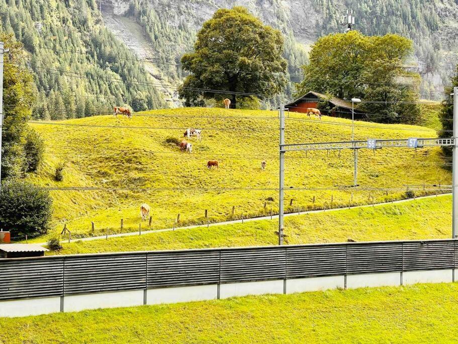 Waterfall View Kandersteg Exterior photo